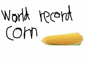 World record corn