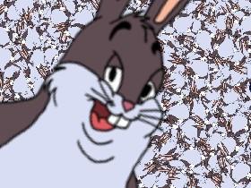 Spin Big Chungus! 1