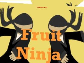 Fruit Ninja 1