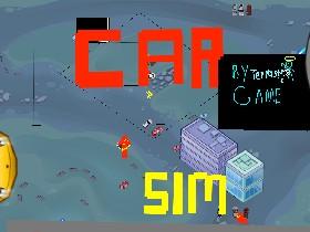 Car Sim RELEASED   1