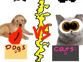 Dogs vs Cats!!🐈🐕 1