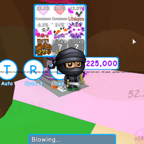 ninja = rblx