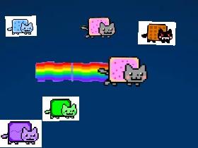 🐱Nyan cat animation🐱 1