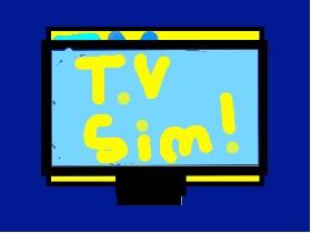 T.V Simulator! 1