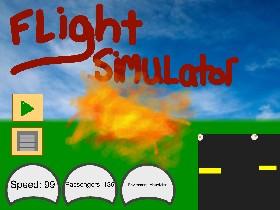 Flight Simulator 1