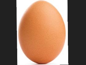 Egg