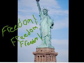 statue of liberty we need freedome