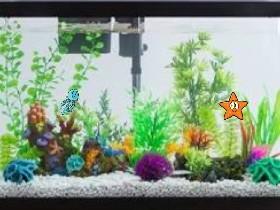 fishtank sim