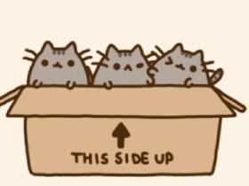 pusheen times 1