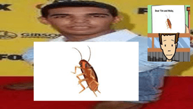 dancing cockroach