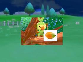 Grookey 