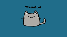 Cat Animation!!