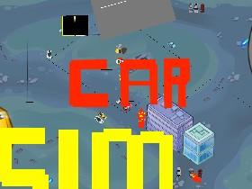 Car Sim RELEASED 2