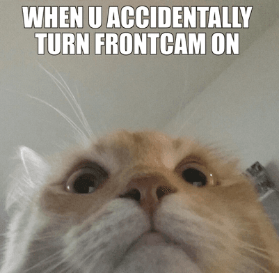 Funny cats!!! 1 1