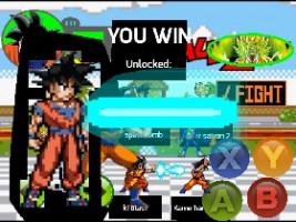 Dragon ball z sim