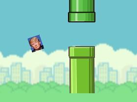 FLAPPY BIRDY 1