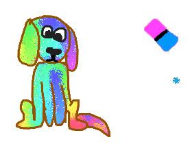 rainbow dog