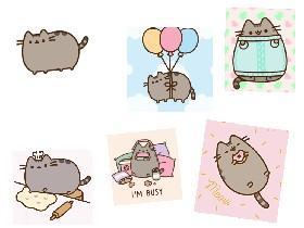 Pusheen Project 