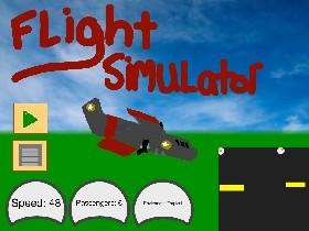 Flight Simulator 1