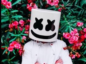 for marshmello fans