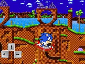 Sonic the hedgehog