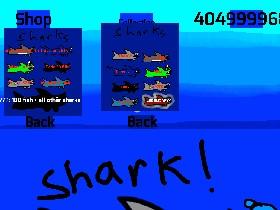 shark 1