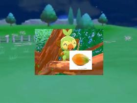 Grookey  1