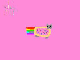 nyan cat run