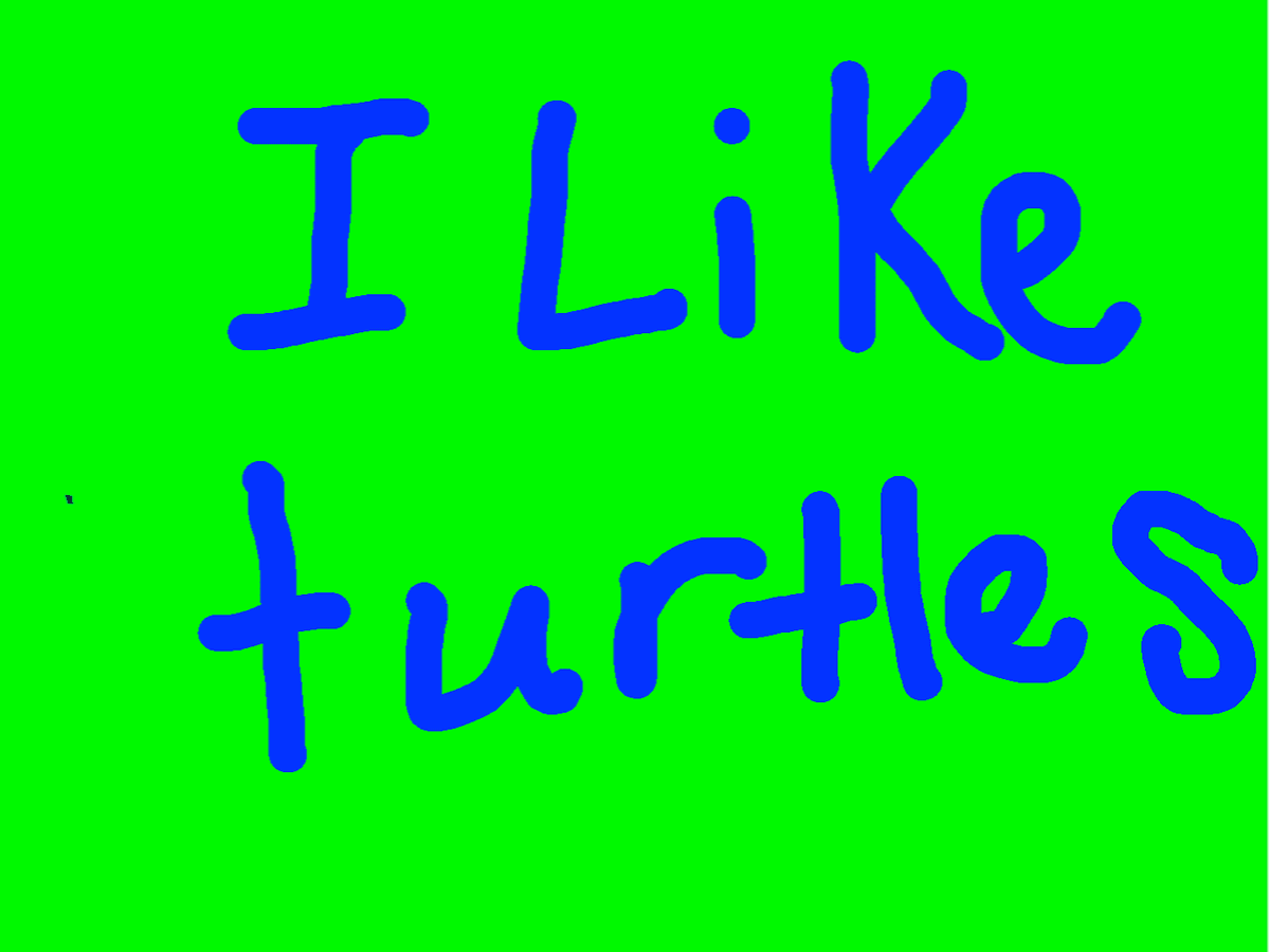 I like turtles