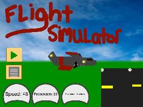 Flight Simulator