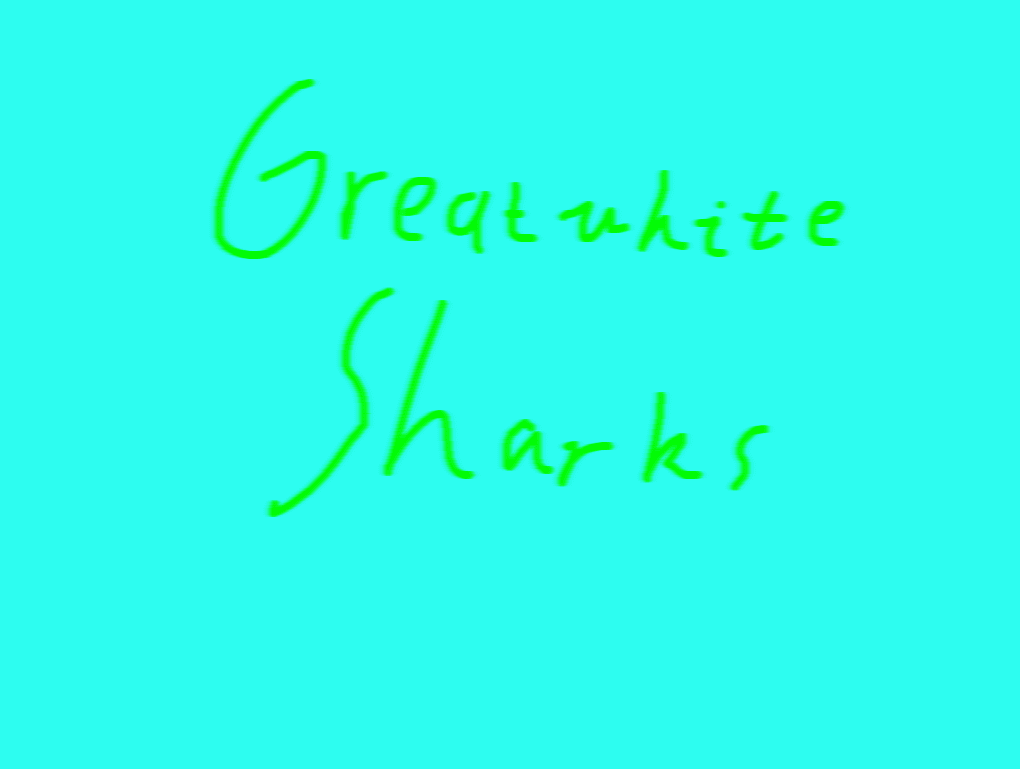 The Great White Shark Quiz