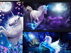 unicorn chat!!!