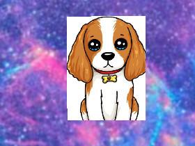 Galaxy puppy 1