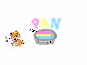 Pan Pan