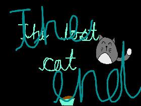 The lost cat