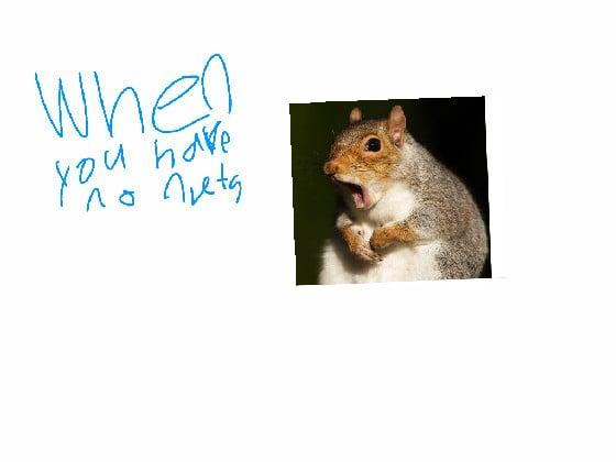 Squirrel meme