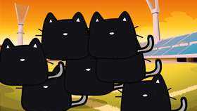 black cat party