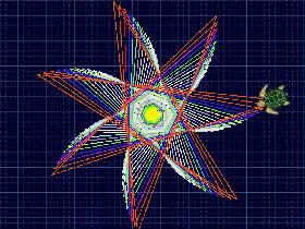 turtal triangles