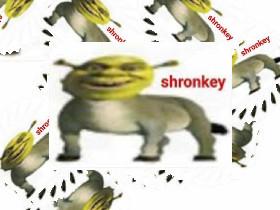 shronkey