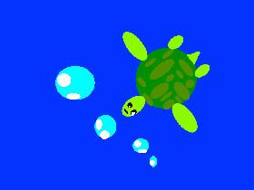 i like turtle’s!!!!!!!!!!!