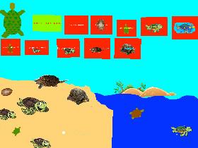 Turtle Clicker!  1 1