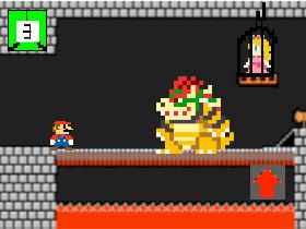 Mario Vs. Bowser