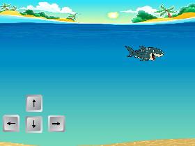 Whale shark simulator