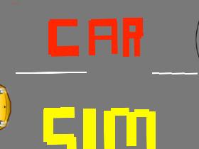 Car Sim RELEASED 2