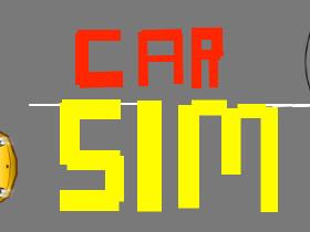 Car Sim RELEASED 1 2