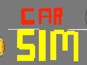 Car Sim RELEASED 3