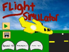 Flight Simulator 1 1