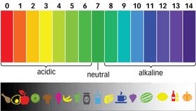 pH Levels - web
