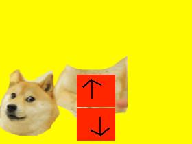 SHAKY DOGE 9000