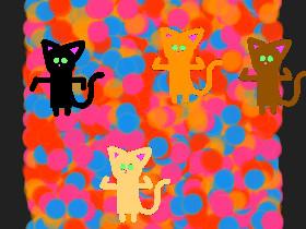 hyper cat party